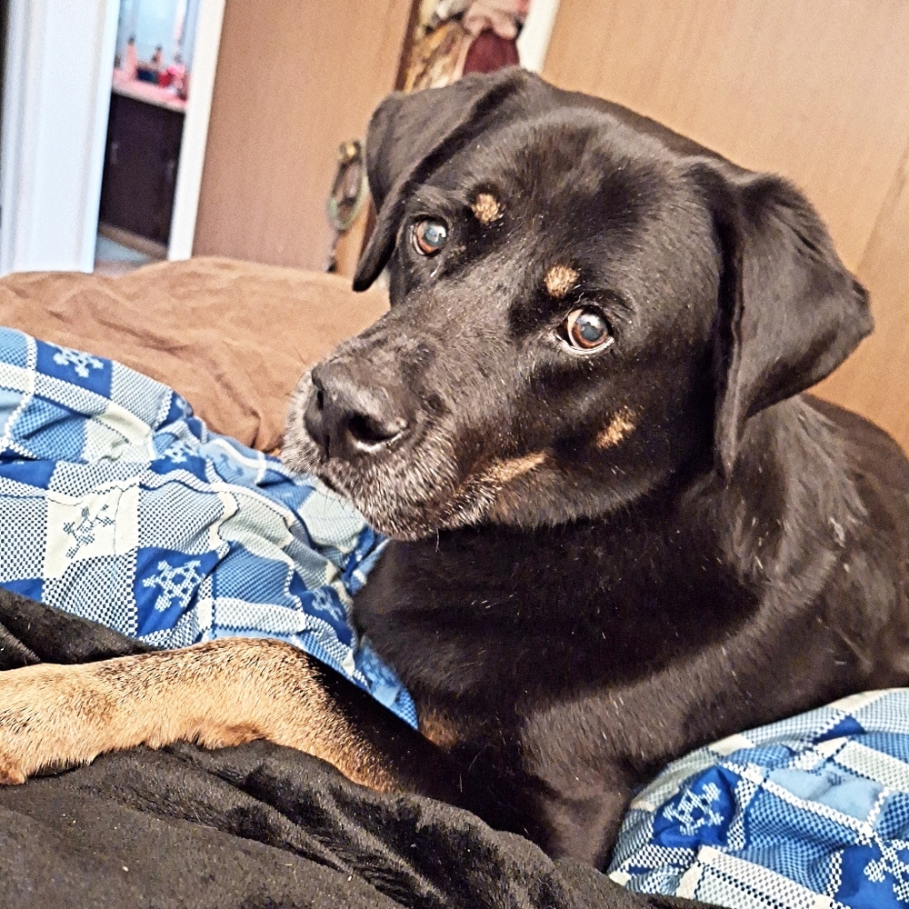 My Sweet Otto!❤️ Say Cheese!